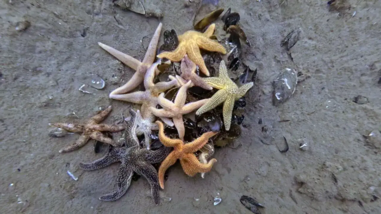 daktilo image title daktilo image